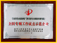 全国专利工作试点示范企业