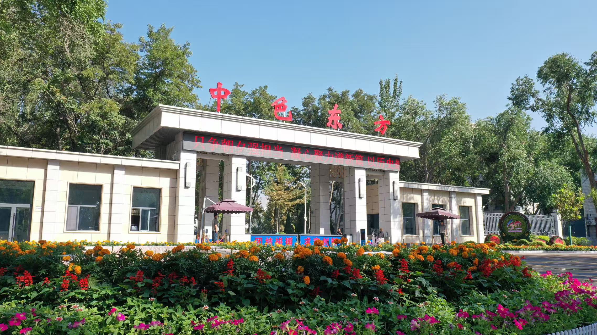 中色东方紧扣三个导向 以学习教育成效在服务国家战略中走好高质量发展之路